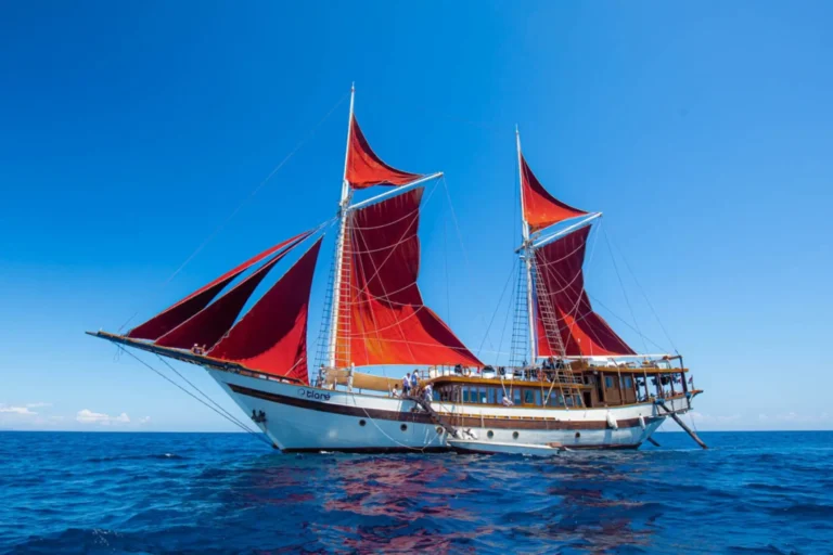 Tiare Cruise 36-metre phinisi liveaboard on the water in Indonesia