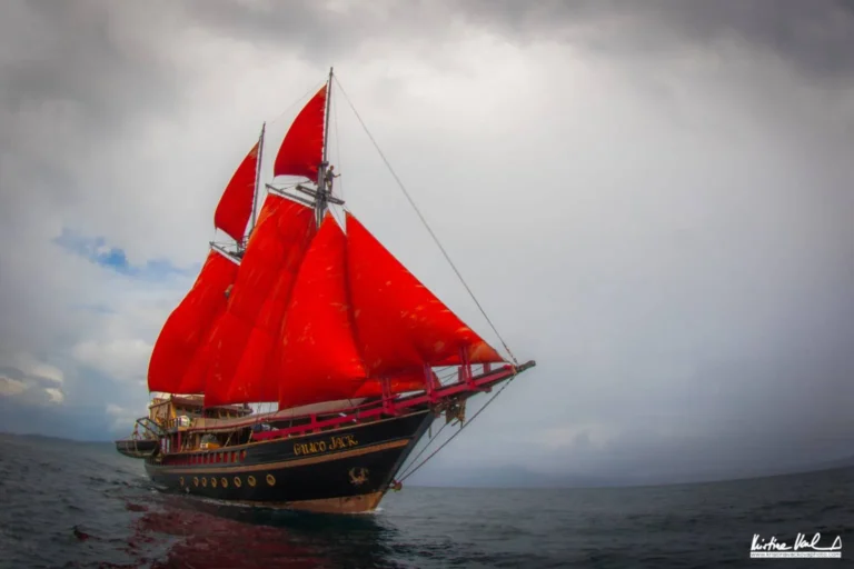 Calico Jack phinisi under its red sails