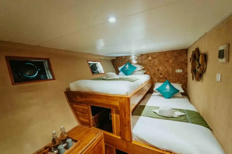 Interior of a Cordelia guest cabin with double bed and hot shower ensuite