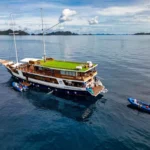 Indo Master liveaboard with dive tender