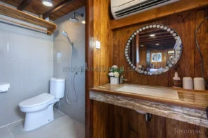 Ensuite bathroom with wash basin aboard Mola Mola 1
