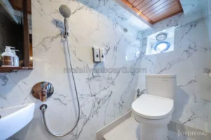 Lower deck cabin bathroom aboard Mola Mola 1