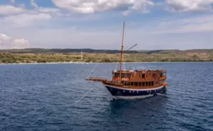 Mola Mola 2 anchored at sea