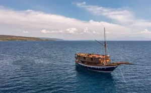 Mola Mola 2 aerial exterior