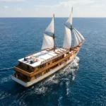 Naturalia Cruise sailing in Komodo