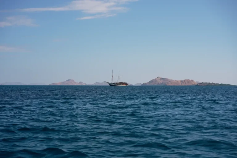 Nayara Cruise anchored off an Indonesian island