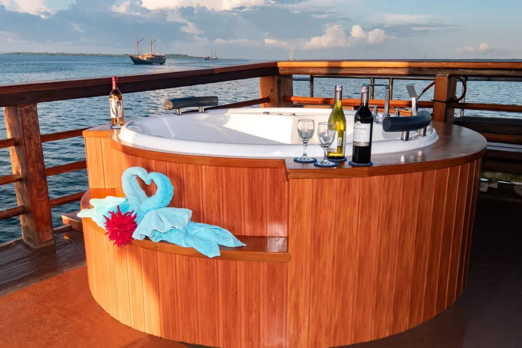 Outdoor Jacuzzi bar aboard Sea Safari 8