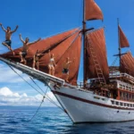 Bow view of Seamore Papua sailing at sea