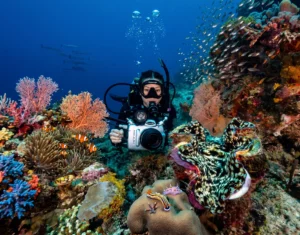 Diver taking photos of the vibrant coral reefs and rich marine life during an underwater excursion on a Komodo day trip