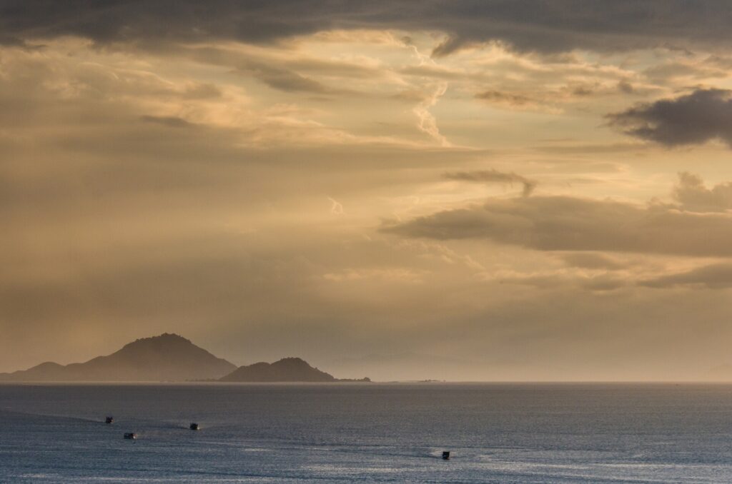 Natural landscape and wildlife view in the Komodo region