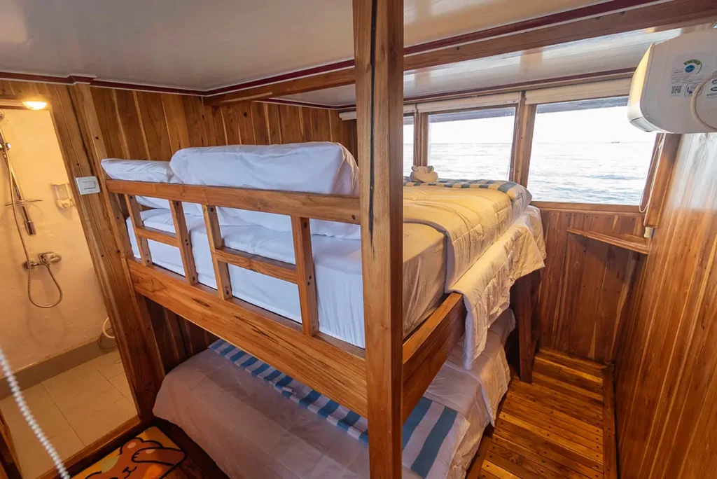 Quad bunk cabin aboard Devita R Cruise