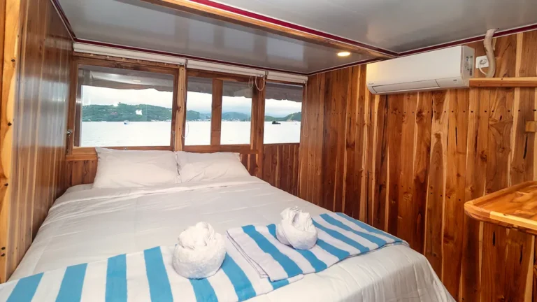 Superior ocean-view cabin aboard Devita R Cruise