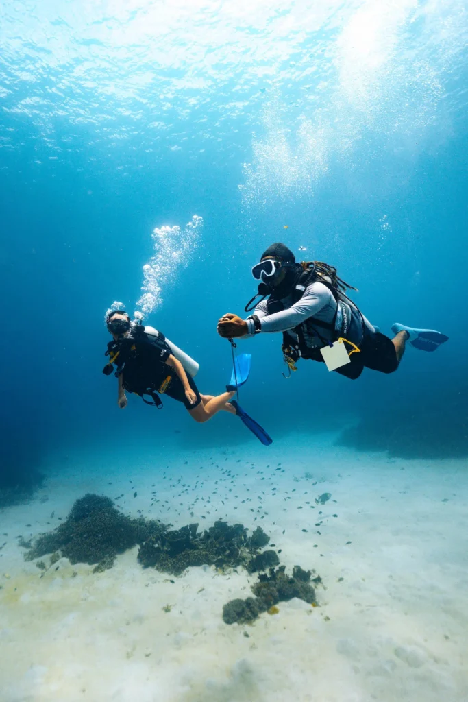 Guests scuba diving from Jinggo Janggo in Komodo