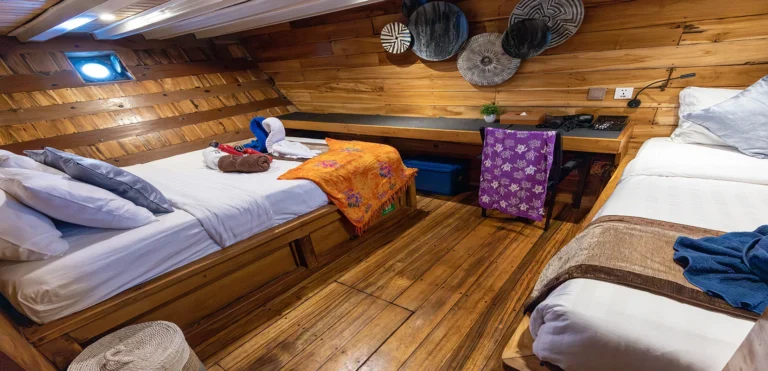 Deluxe Stateroom on Komodo Aggressor