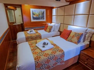 Deluxe cabin configured with twin beds aboard MV Mermaid I
