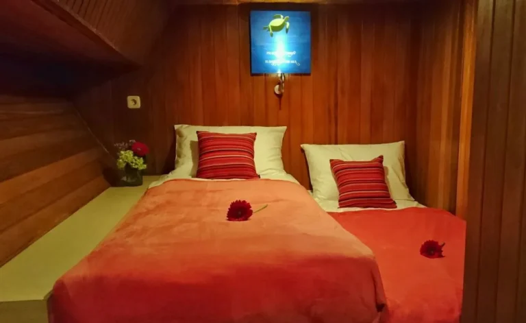 Twin-bed private cabin aboard Thalassa 1