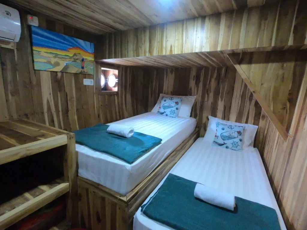 Private twin-bed cabin aboard Thalassa 2