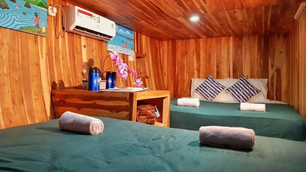 Shared double-king cabin aboard Thalassa 2