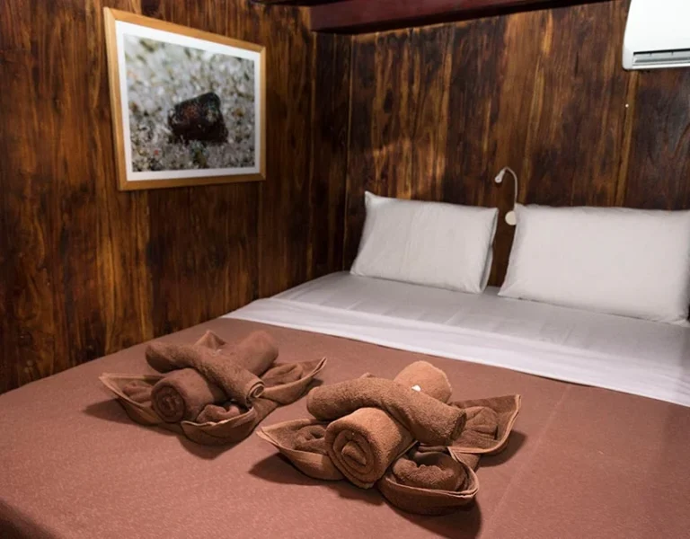 Double cabin on Wunderpus