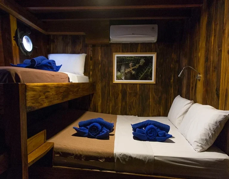 Double twin cabin on Wunderpus