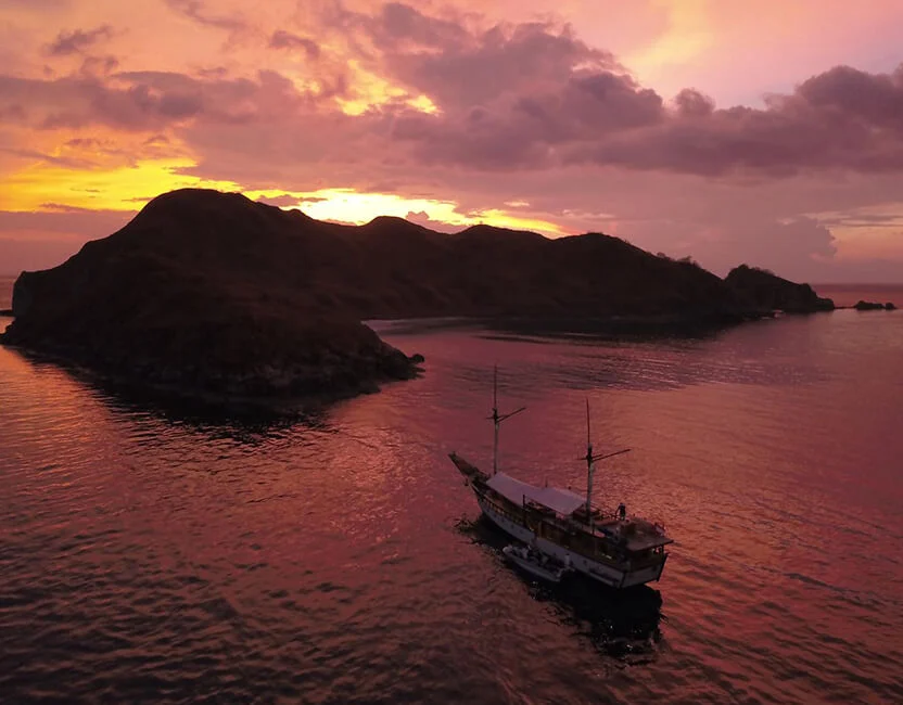 Wunderpus liveaboard at sea